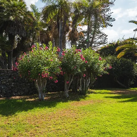 Encantador Piso En Centro De Con Gran Terraza Lejlighed *