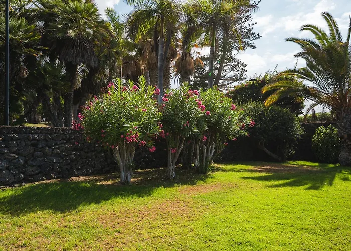 Encantador Piso En Centro De Con Gran Terraza Lägenhet *