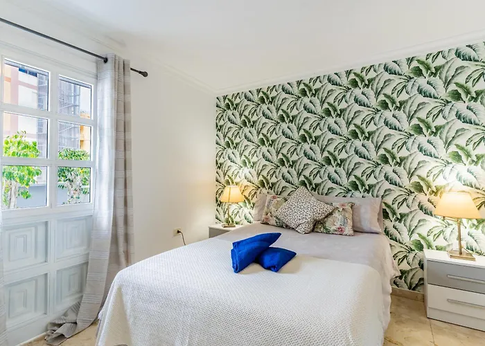 Encantador Piso En Centro De Con Gran Terraza