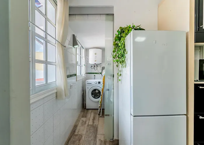 Encantador Piso En Centro De Con Gran Terraza